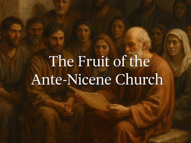 The Root of the Matter: Why the Solas Must Be Anchored in the&nbsp;Spirit